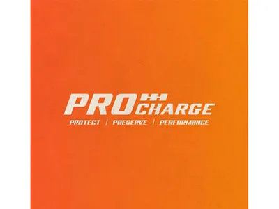 Pro Charge a nerds world best graphic designers toronto best logo designers toronto branding creative agency toronto custom logo design graphic design graphic design toronto logo design logo design toronto toronto