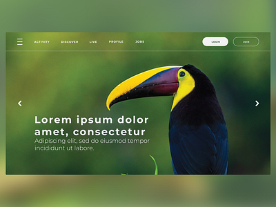 Nature UI Kit branding clean design graphic green minimalist nature simple ui uiux user interface ux visual design web web design