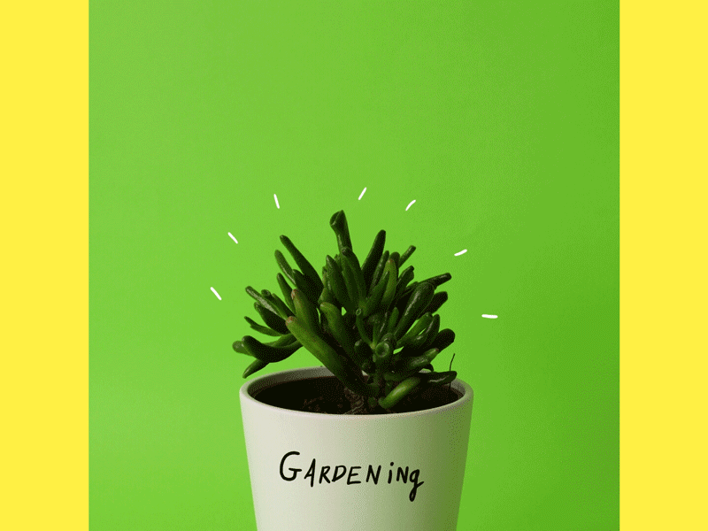 How to dispose - Gardening animation bamandboo bamboo eco garden instagram looop noplastic plant stopmotion toothbrush video zerowaste