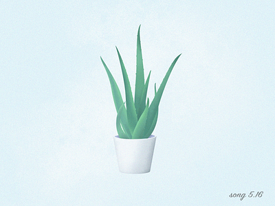 Plant green illustration plant
