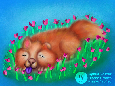 Perrito apacible apacible dibujo digital drawing diseño gráfico dog doggo graphic design illustration peaceful procreate art procreateapp