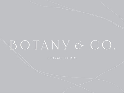Botany & Co Identity brand brand identity branding branding design custom type florist identity logo logotype typography