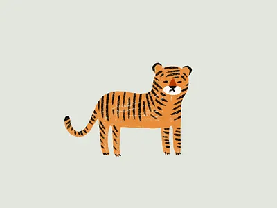 little tiger animal animal illustration tiger wildlife