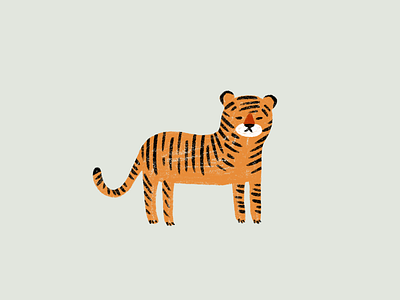 little tiger animal animal illustration tiger wildlife