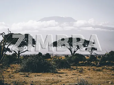 Zimbra - Free Professional Font advertising branding business card design editorial font free font free fonts free typeface freebie freebies identity illustration labels logo logos logotype stationery typeface typography