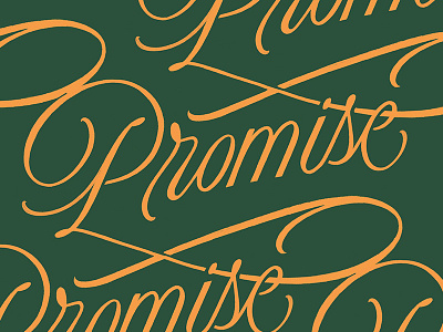 Promise Dribbble art art direction design green handlettering procreate promise script script lettering smooth type typography yellow