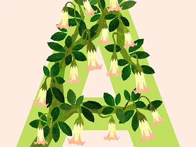 Angel's Trumpets illustration