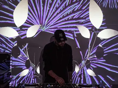 Generative Visuals art art installation berlin design digital art experience design illustration imrsv arts interactive art light light design nature nature illustration palm trees projection art projection design projection mapping technology vaporwave vj