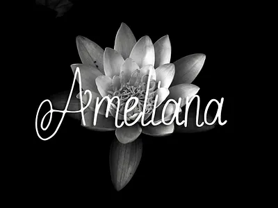 Ameliana - Free amazing handwritten font advertising branding business card design editorial font free font free fonts free typeface freebie freebies identity illustration labels logo logos logotype stationery typeface typography