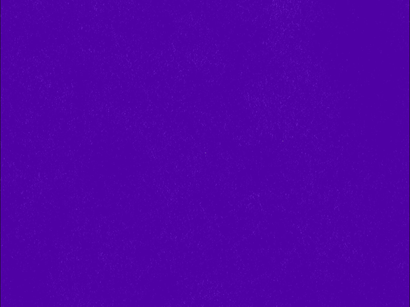 logo animation 2d animation art artwork brand brand identity branding clean color creative design dribbble flat gif graphic graphicdesign logo logodesign loop