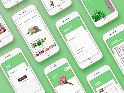 App flowers delivery concept app design design sketchapp ui uidesign uxdesign
