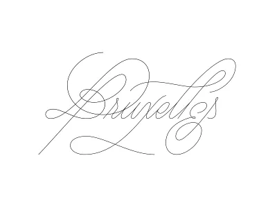 Bruxelles. custom type editorial art handlettering lettering script title tour tourist type typography vector work in progress