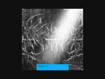 The Decaying Light / Disentomb album album artwork album cover baugasm cd cd art pangram typography typography art