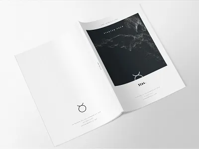 Two Bulls Starter Pack clean design layout minimal poster art starter pack welcome pack