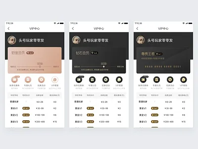 VIP-P2 app design icon ui vip