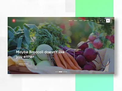 Healthy Living Content Website ai modern logo banner card poster forms form signup funny fashion logout gradients social footer header hero network inbox letter shadow invitation postcard mail login enquiry question rajat mehra india spring winter summer ui webpage dashboard