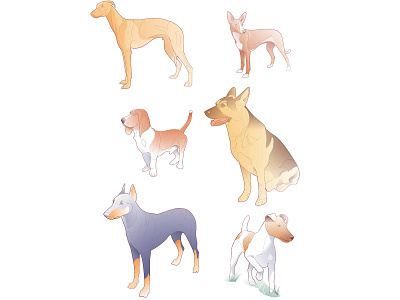 dog breeds breed dog illustration nature