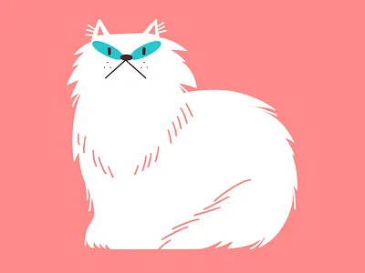 Persian cat animal cat design graphic illustration procreate