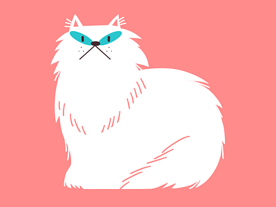 Persian cat animal cat design graphic illustration procreate