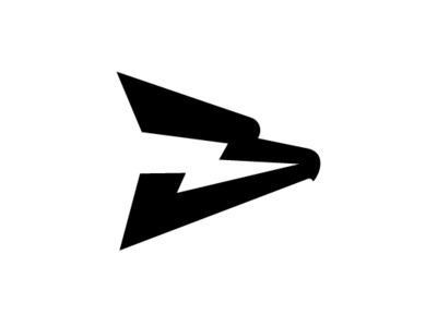 Dynamic, Eagle Logo bird logo brand identity branding creative eagle eagle logo falcon hawk icon lightning bolt logo logo design logos mark minimal modern symbol unique