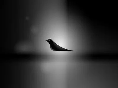 Ring ouzel animal animation bird bw illustration illustrator monochrome