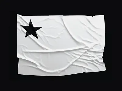 Flag black botafogo branding flag flag design star