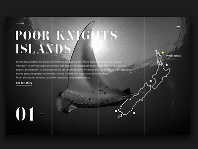 New Zealand Scuba Diving spots 01 UI Website art direction design desktop digital digital design experience experience design fonts graphic design manta ray minimal minimalistic screen scuba diving ui user experience user interface ux web design website
