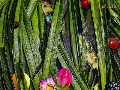 Colorful Garden Project 4 color colorful composition design digital art digital painting flowers fusion garden graphic art graphic design illustration jardín mavicfe naturaleza nature photography photoshop photoshop art sunlight