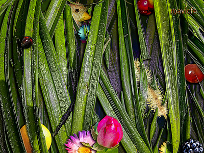Colorful Garden Project 4 color colorful composition design digital art digital painting flowers fusion garden graphic art graphic design illustration jardín mavicfe naturaleza nature photography photoshop photoshop art sunlight