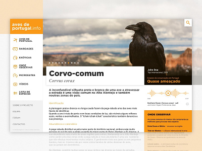 Aves de Portugal - Exercise birds invision studio portugal raven yellow