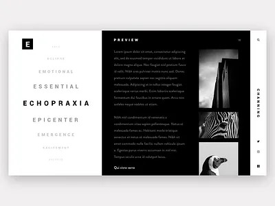 Mistake. Minimal web Gallery design - Daily #2 black branding design identity minimal ui ux web website white