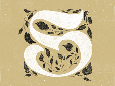 S 36daysoftype 36daysoftype s illustration leafs lettering procreate procreateapp texture type typography