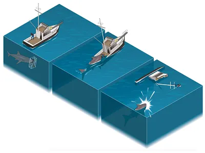 Jaws Classic Movie Scene Graphic adobe illustrator feature films graphic illustration infographic isometric design jaws movie vector illustration