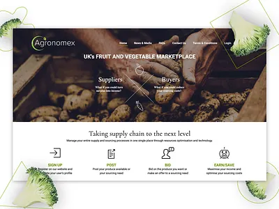 Agronomex design development ui ux web