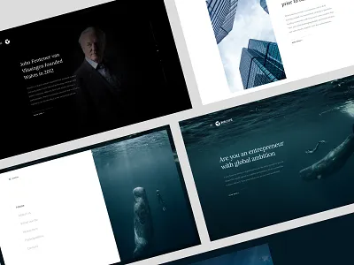 Investment website buildings business clean exploration investing investment investments ui ux uidesign webdesign website whale