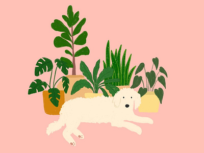 Monty Dog animals dog dogs garden illustration monty don plants procreate puppy