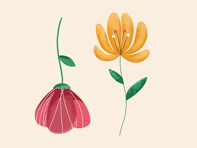 Spring - flower flower garden illustrator photoshop plant plant illustration spring