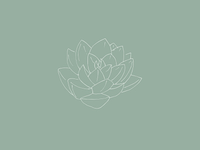 Succulent Illustration green hand drawn illustration plant succulent succulent illustration vector