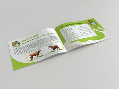 A1 vs A2 Milk Comparison advertise advertisement branding brochure brochure design brochure layout brochure mockup brochure template design illustration typography
