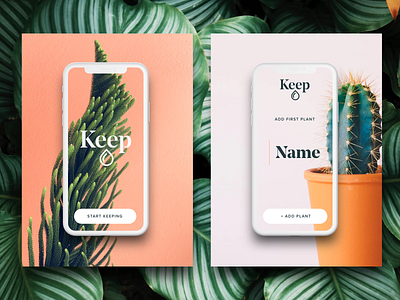 Keep First Plant app app design keep minimal modern natural nature onboarding plants ui ux