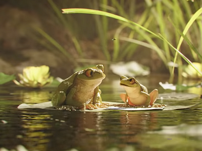Frames Cropped 02 animation character character desig frog lookdev toad