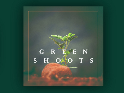 Green Shoots Easter Campaign Design - Social Square border church easter green square