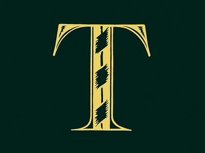 36 days of type - T 36 days of type design digital illustration illustration letter lettering procreate t typography typography design