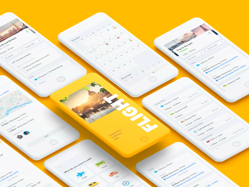 App Flight after effect animation app clean design illustration illustrator ios lancedaile lettering logo minimal mobile type typography ui ux vector web website
