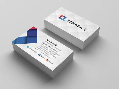 Terasa 1 - Business Card Design adobe branding business card corporate branding curves design illustration illustrator indesign logo perspective perspective mockup photoshop print render vector