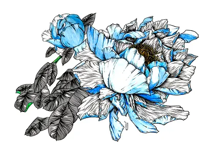 Flower illustration