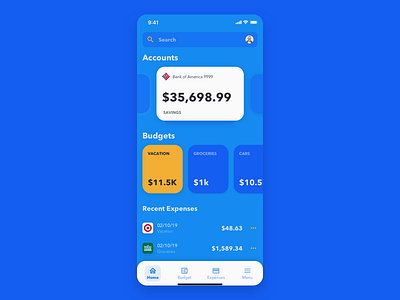 Budgeting App Concept bank app branding mobile mobile app design mobile ui money app ui uidesign uidesigner ux uxdesign uxdesigner