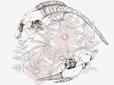 Work in Progress - Skulls botanical drawing illustration nature pattern surface design