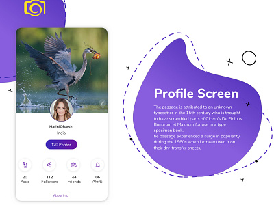 Profile Screen app ui