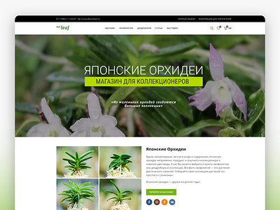 Sunleaf - Rare Japanese Neofinetias E-commerce Site custom wordpress theme design ecommerce idsn japanese orchid logo neofinetia orchid shop ui design web design webdesign wordpress